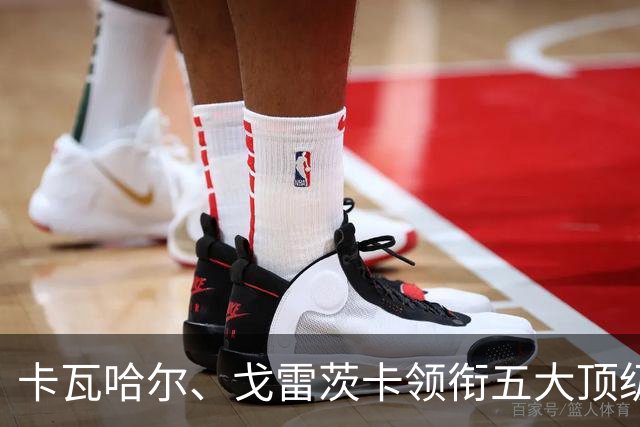 卡瓦哈尔、戈雷茨卡领衔五大顶级自由身，曼联中场迎来补强契机