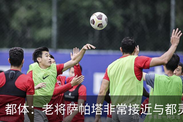 都体：老将萨帕塔非常接近与都灵续约至2028年，基本达成协议